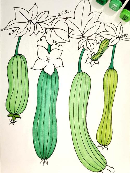 用蔬菜做的花卉画图画大全(用蔬菜做的花卉画图画大全图片)