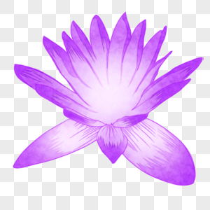 板绘水彩紫色花卉图片大全(板绘水彩紫色花卉图片大全大图)